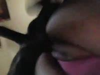 Lady getting fucked and pounded by dog's hard cock